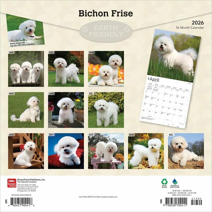 Calendrier 2026 Chien Race Bichon Fris