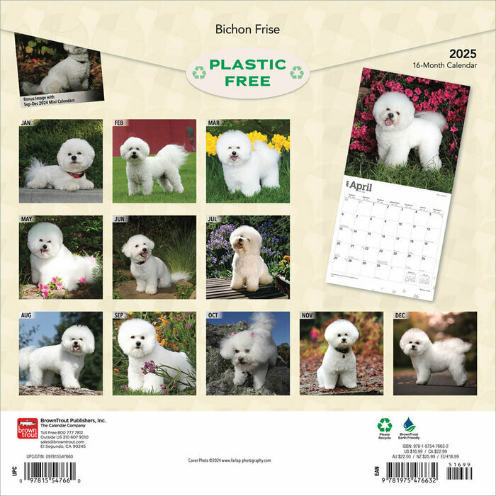 Calendrier 2025 Bichon Fris