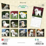 Calendrier 2025 Bichon Fris