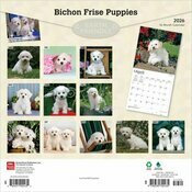 Calendrier Mural 2026 Chien Race Bichon Frisé Chiots
