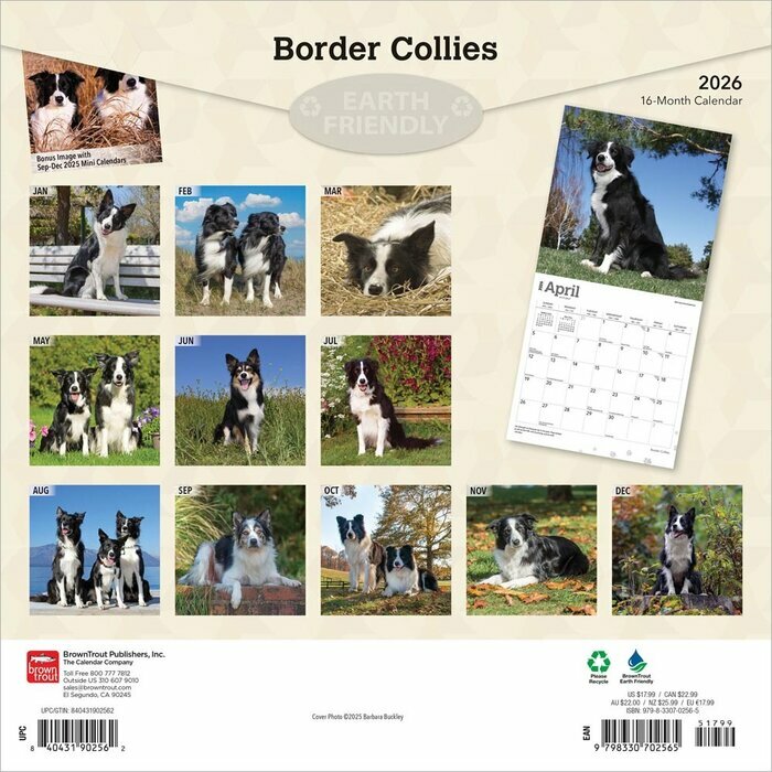 Calendrier Papier 2026 Chien Race Border Collie