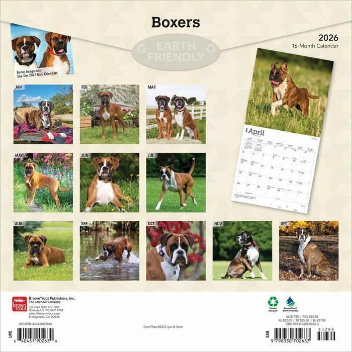 Calendrier 2025 Boxer