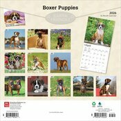 Calendrier 2026 Chien Race Boxer Chiots