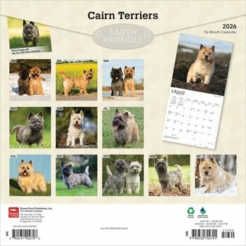 Calendrier 2025 Chien Race Cairn Terrier