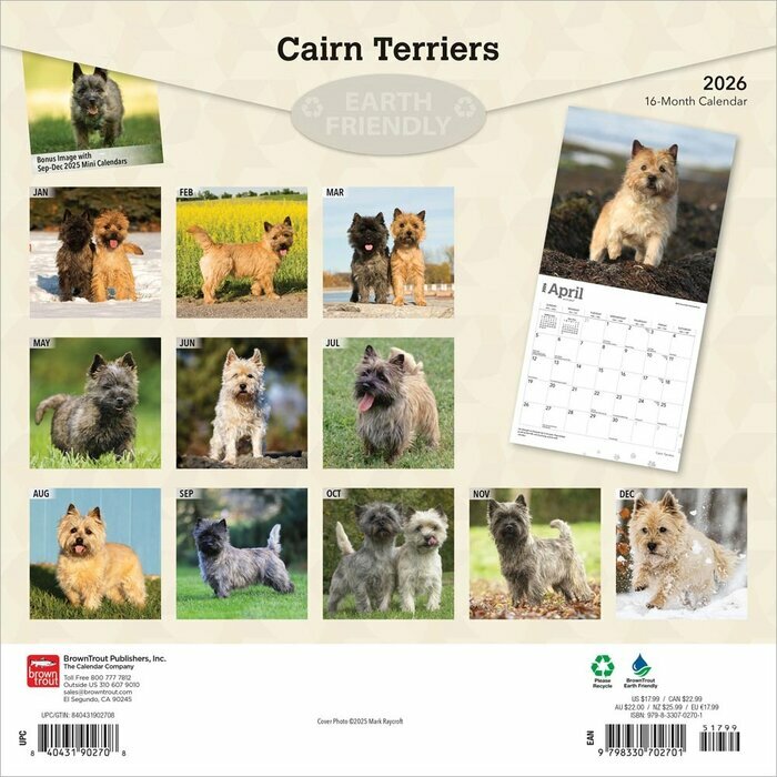 Calendrier 2025 Cairn Terrier