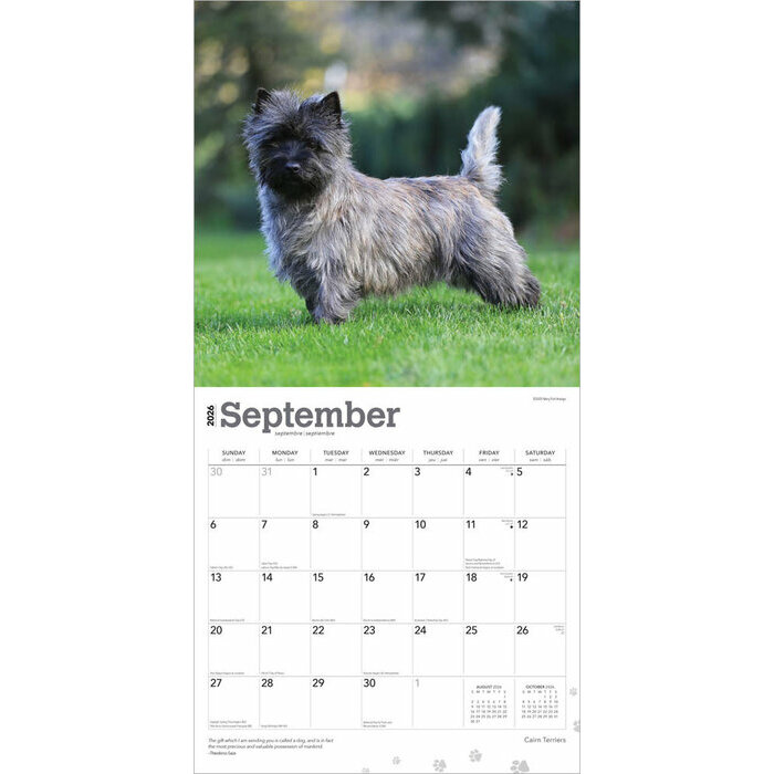 Calendrier 2025 Chien Race Cairn Terrier