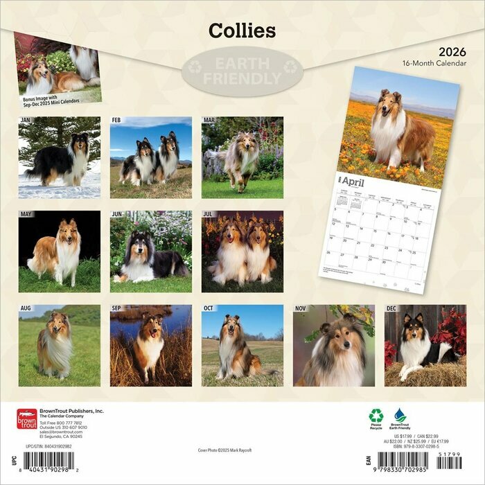 Calendrier 2025Colley