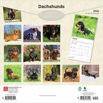 Calendrier 2025 Chien Race Teckels Calendrier 2025 Chien Race Teckels
