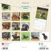 Calendrier 2025 Teckels