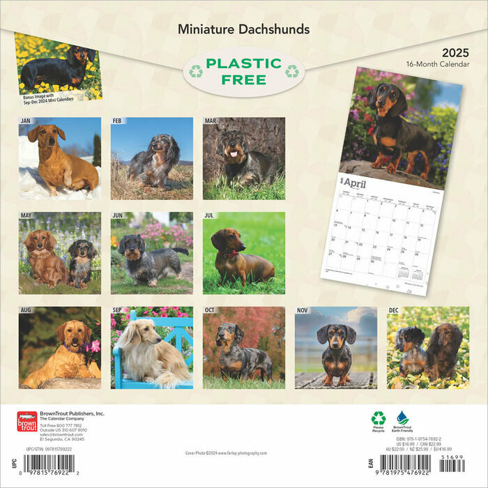 Calendrier 2025 Teckels Nain