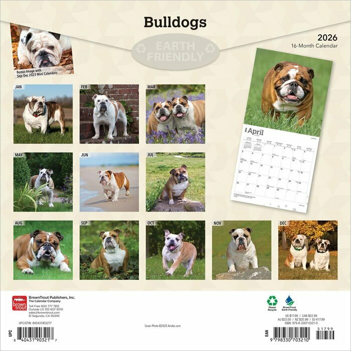 Calendrier 2025Bulldog Anglais