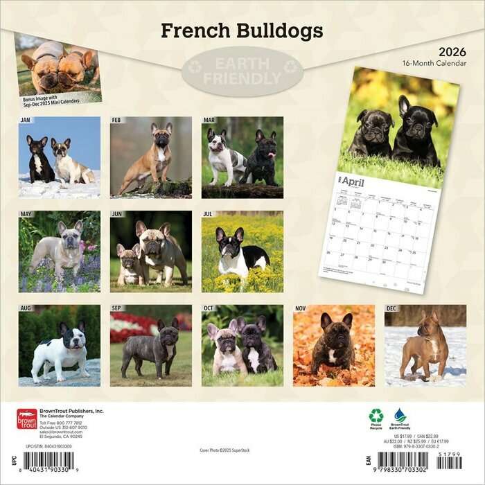 Calendrier 2025 Bouledogue Franais