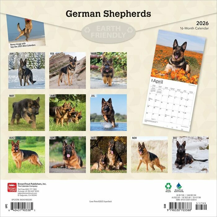 Calendrier 2026 Chien Race Berger Allemand