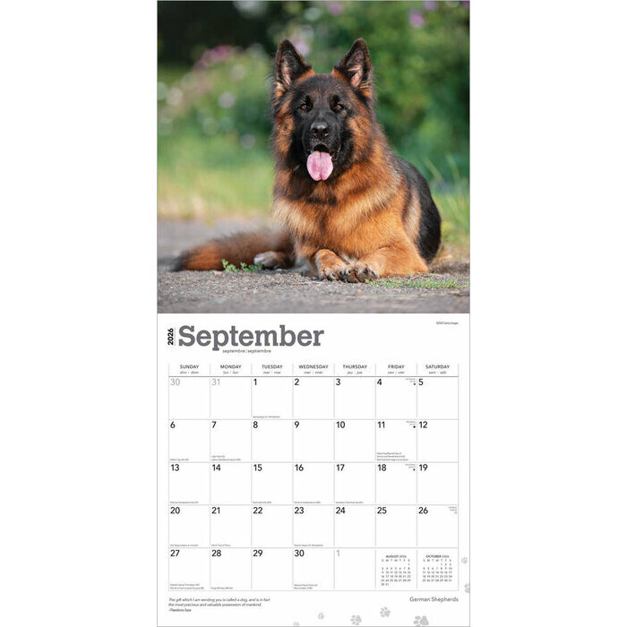 Calendrier Papier 2026 Chien Race Berger Allemand