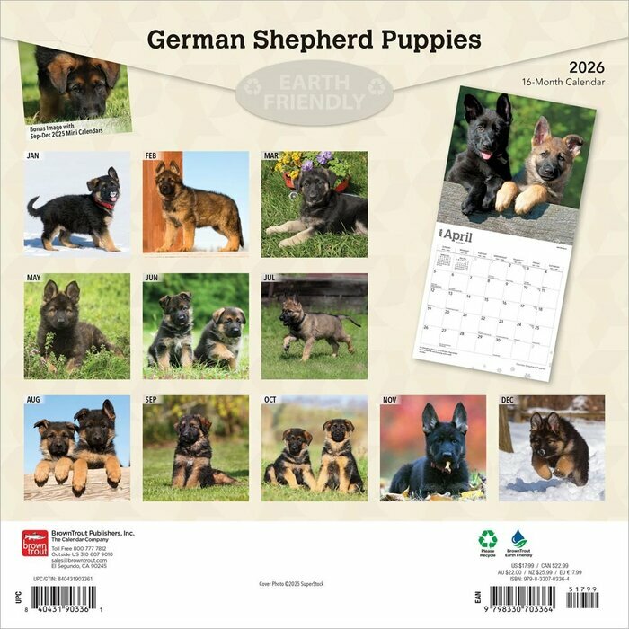 Calendrier 2025 Berger Allemand Chiots