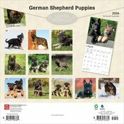 Calendrier 2025 Berger Allemand Chiots