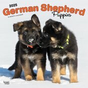 Calendrier Mural 2025 Chien Race Berger Allemand Chiots