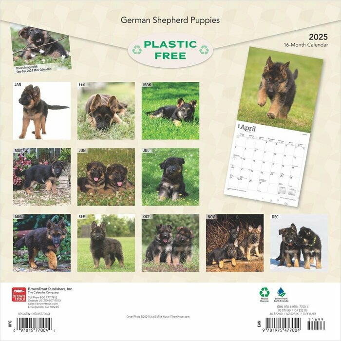 Calendrier 2025 Berger Allemand Chiots