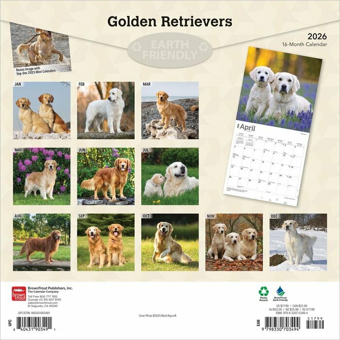 Calendrier 2025 Golden Retriever