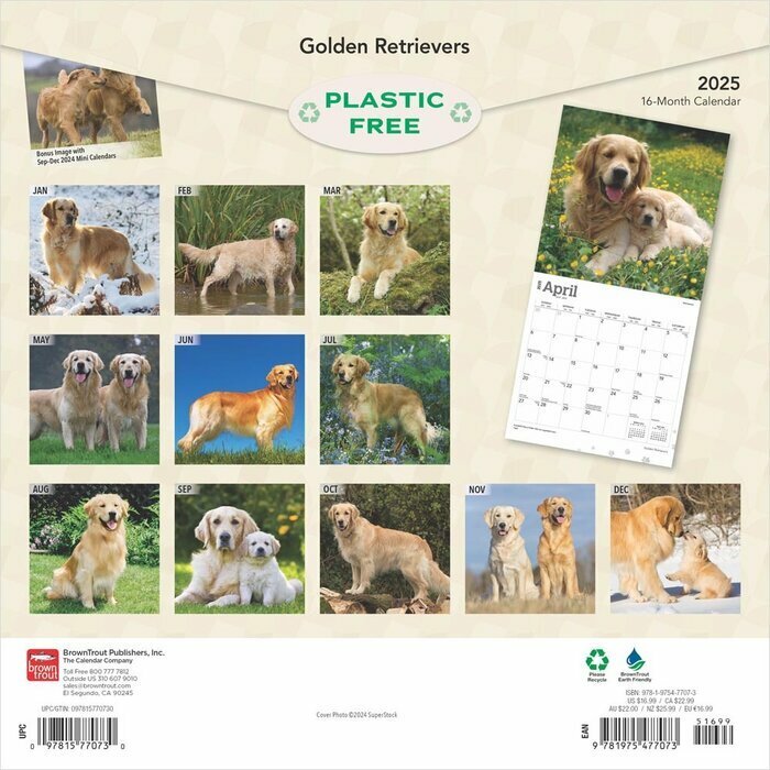 Calendrier 2025 Golden Retriever