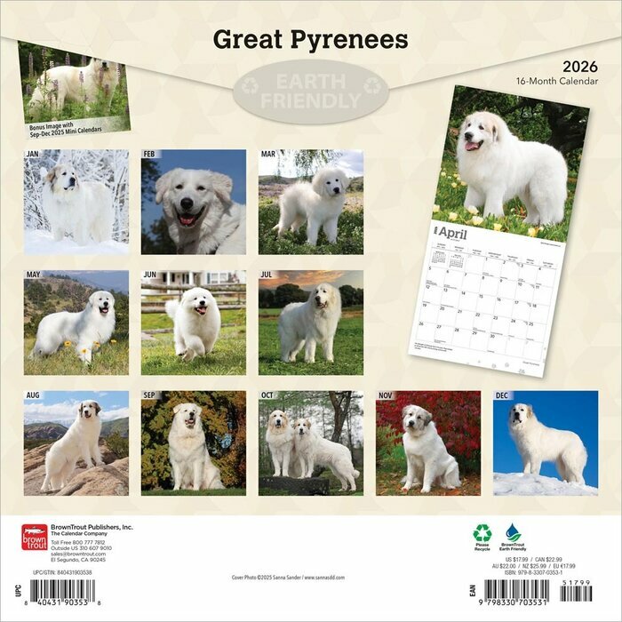 Calendrier Mural 2025 Chien Race Montagne des Pyrenées