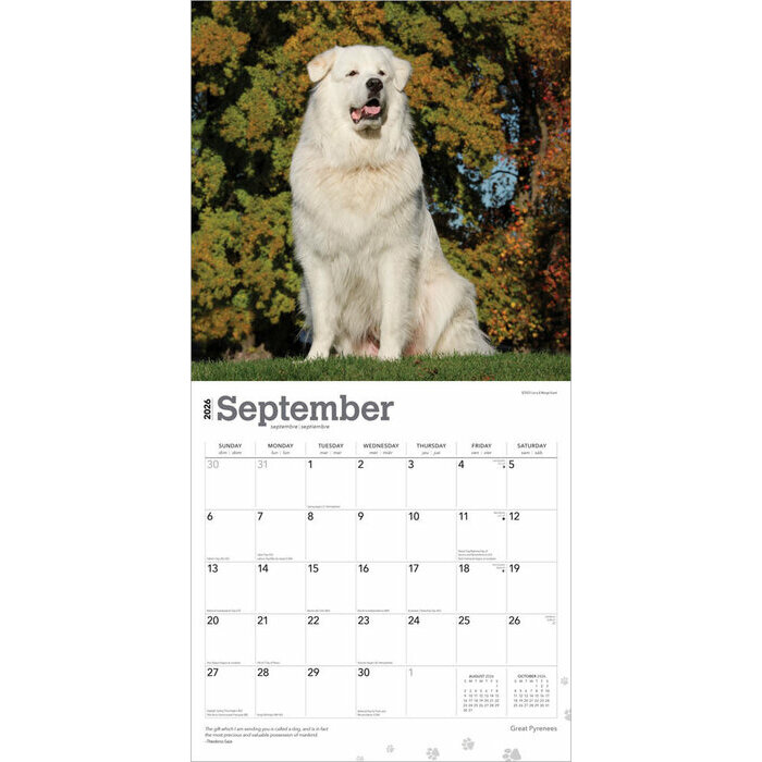Calendrier 2025 Montagne des Pyrenées