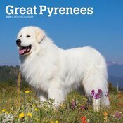 Calendrier 2025 Patou Montagne des Pyrenées