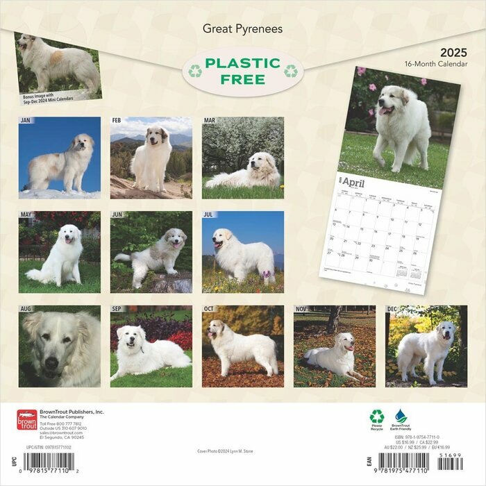 Calendrier Mural 2025 Chien Race Montagne des Pyrenées