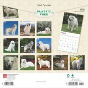 Calendrier Mural 2025 Chien Race Montagne des Pyrenées