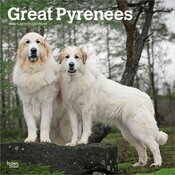 Calendrier 2025 Patou Montagne des Pyrenées