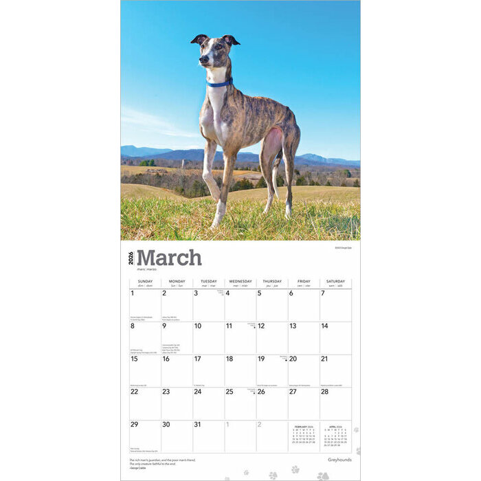 Calendrier 2025 Chien Race Lévrier Greyhound