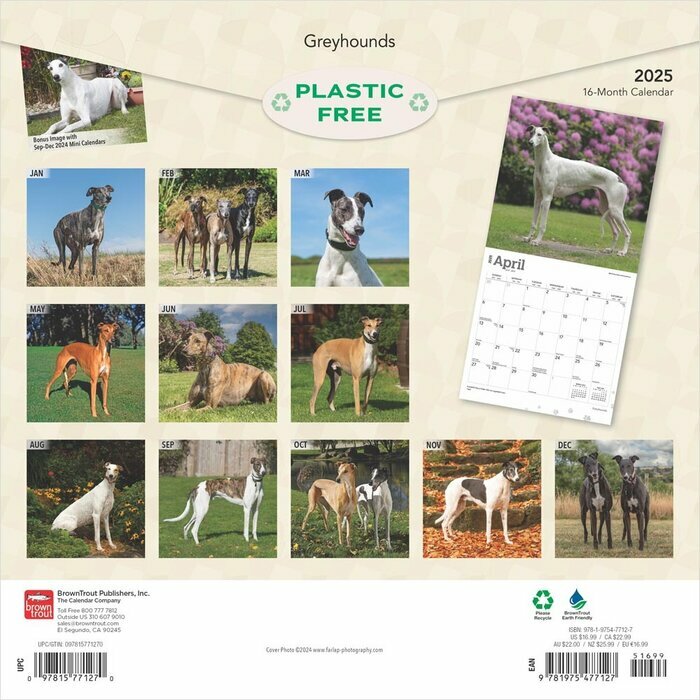 Calendrier 2025 Lévrier Greyhound