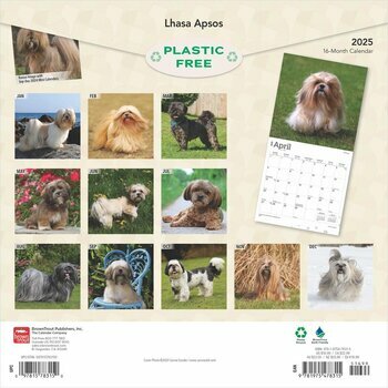 Calendrier 2025 Chien Race Lhassa Apso
