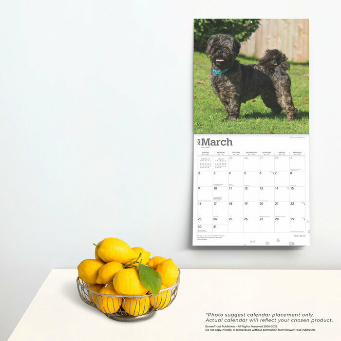 Calendrier Déco 2025 Chien Race Lhassa Apso