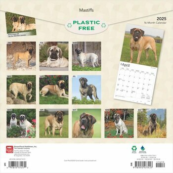 Calendrier 2025 Chien Race Mastiff