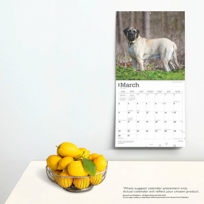Calendrier Déco 2025 Chien Race Mastiff