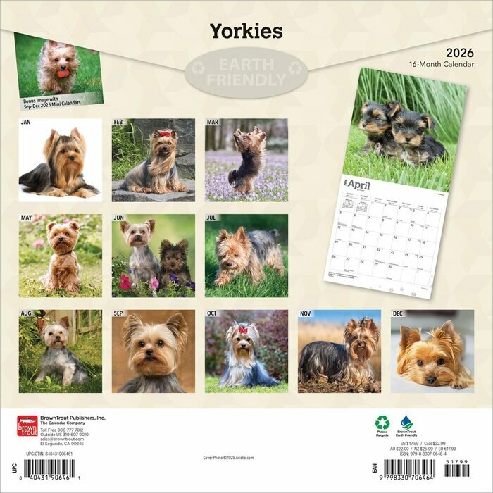 Calendrier Papier 2026 Yorkshire Terrier