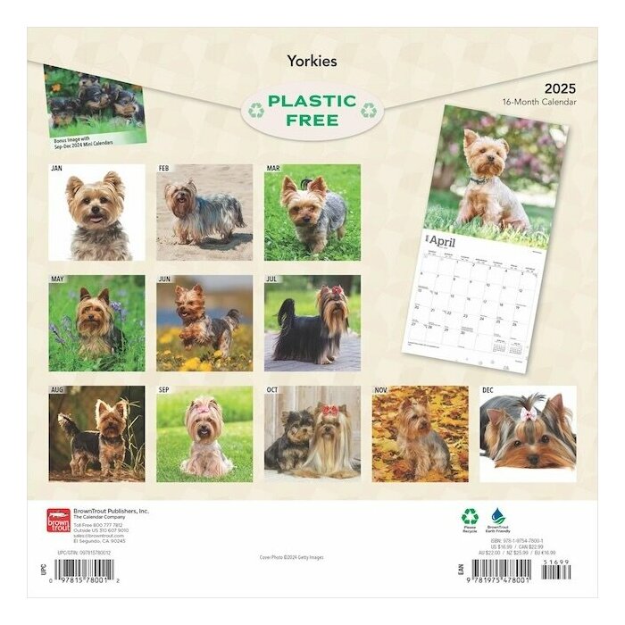 Calendrier 2025 Chien Race Yorkshire Terrier York