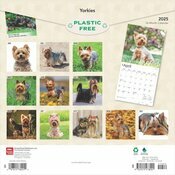 Calendrier 2025 Chien Race Yorkshire Terrier York