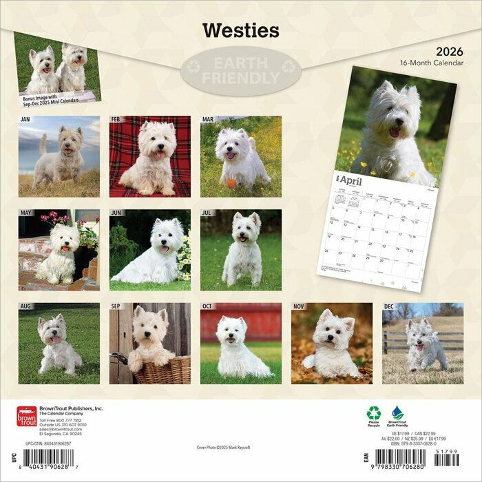 Calendrier 2025 West Highland White Terrier
