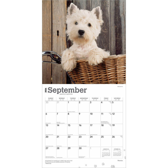 Calendrier 2025 Chien Race West Highland White Terrier