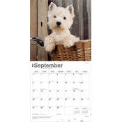 Calendrier 2025 Chien Race West Highland White Terrier