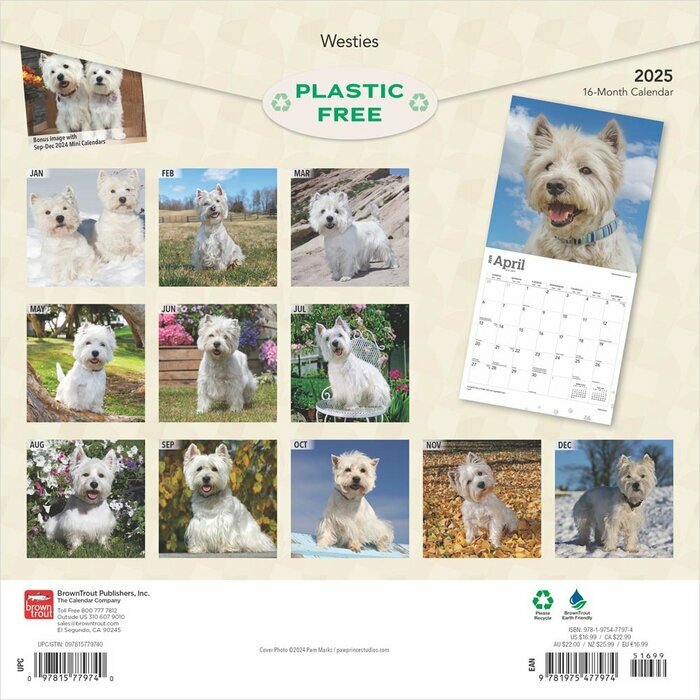 Calendrier 2025 West Highland White Terrier