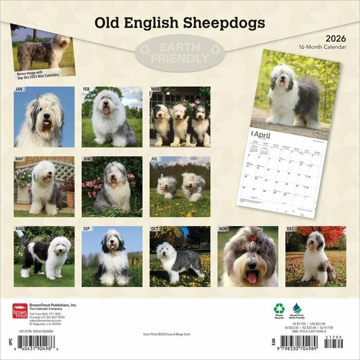 Calendrier 2026 Chien Race Bobtail