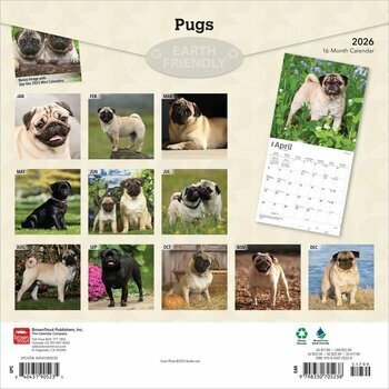 Calendrier 2025 Chien Race Carlin