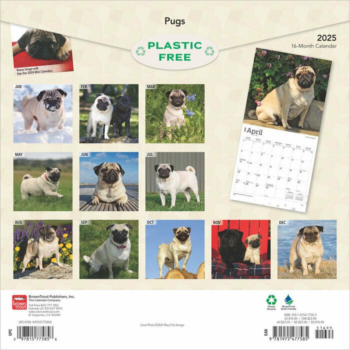 Calendrier 2025 Compagnie Chien Race Carlin