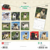 Calendrier 2025 Compagnie Chien Race Carlin