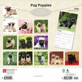 Calendrier 2025 Chien Race Carlin Chiots