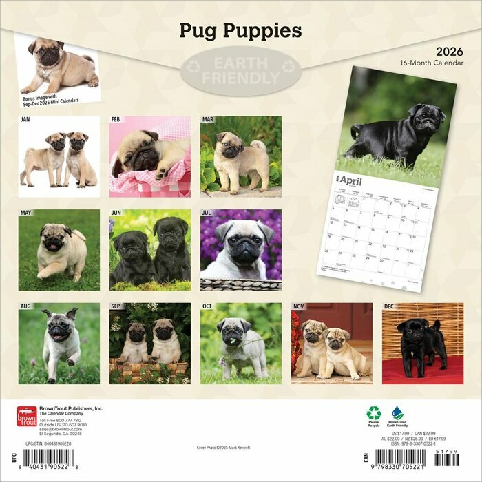 Calendrier 2026 Chien Race Carlin Chiots