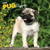 Calendrier Mural 2025 Chien Race Carlin Chiots